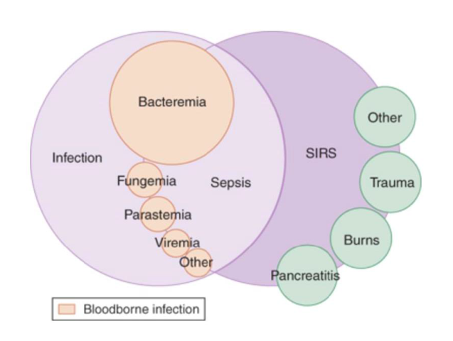 sepsis Venn diagram
