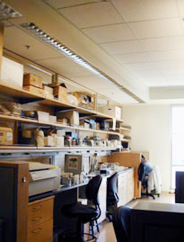 Mission Bay lab space