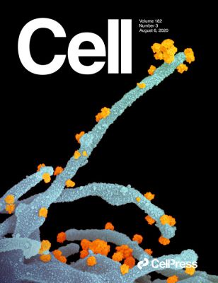 magazine cover.