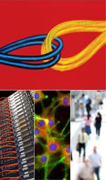 BTS Science Collage