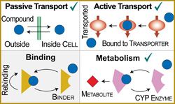schematic diagram