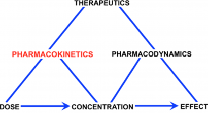 pharmacokinetics diagram