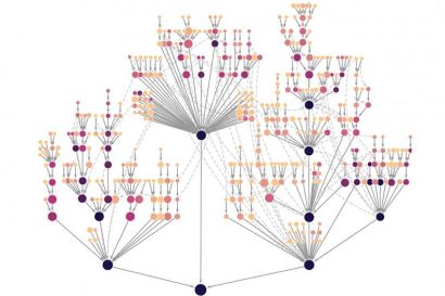 A branching network of protein systems