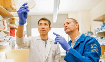 Inoue and Ahituv working in the laboratory