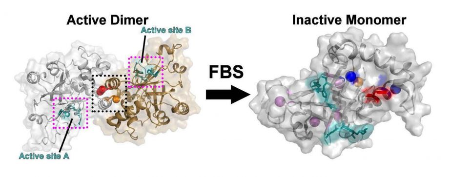 Fragment based screening diagram