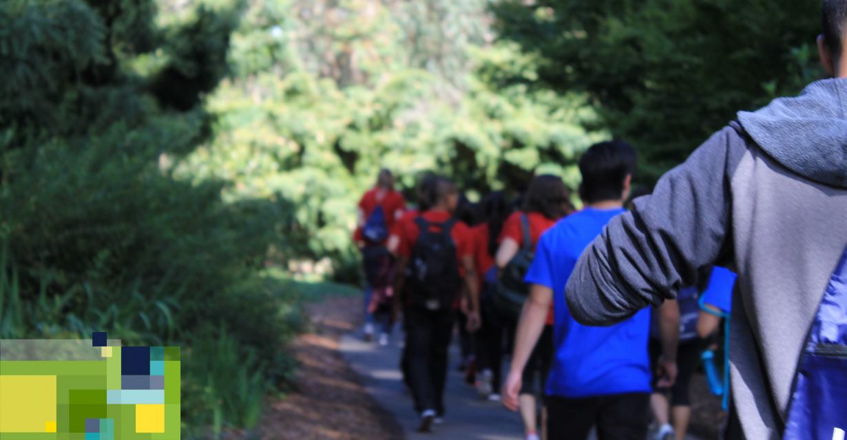 students walking on park path