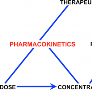 pharmacokinetics diagram