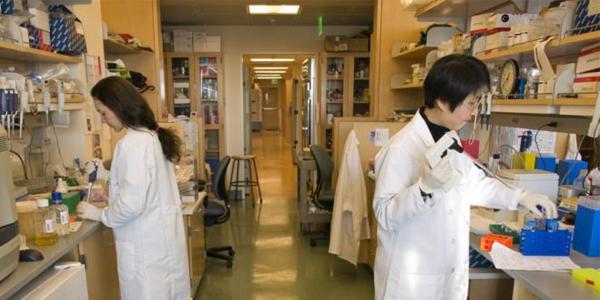 Dual Degree Pharm D School of Pharmacy 2 students in lab