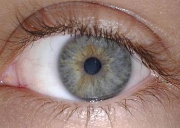 closeup of human eye