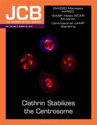 clathrin