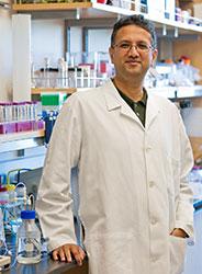 Roy shares promise of bioartificial kidney | PharmD Degree Program