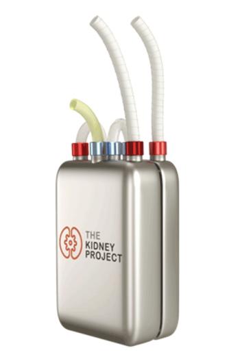 bioartificial kidney