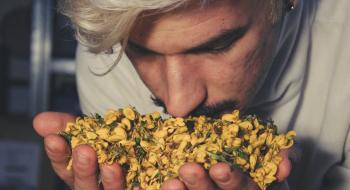 a man holds yellow flowers close to his nose.